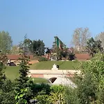 Sunshine Suite